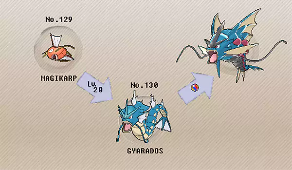 Gyarados evolutionary line