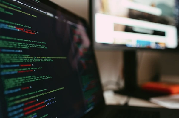 Software Development